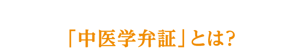 「中医学弁証」とは?