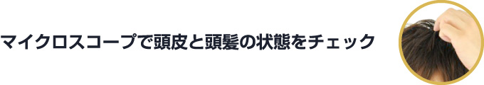 マイクロスコープで頭皮と頭髪の状態をチェック