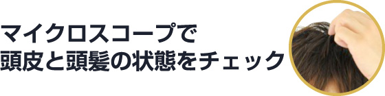 マイクロスコープで頭皮と頭髪の状態をチェック