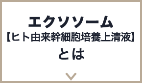 エクソソーム【ヒト由来幹細胞培養上清液】とは